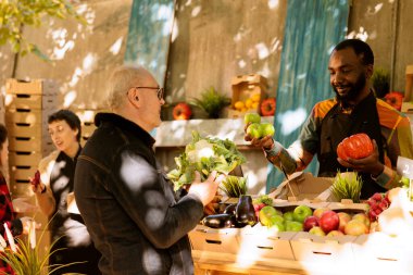 Afrikalı Amerikalı bir adam, yerel üretim mevsimsel ürünler olan küçük işletme tarım dükkanında biyolojik meyve veya sebze sergiliyor. Renkli taze doğal ürünlere bakan yaşlı müşteri, çiftçi pazarı.