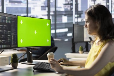 Model PC kullanan geliştirici, uygulama sorunlarını düzelten, veritabanı ve sunucu yapılandırması ile uğraşan. Yeşil ekran bilgisayar kullanan bilişim uzmanı, geliştirilmiş performans için şirket yazılımını optimize ediyor