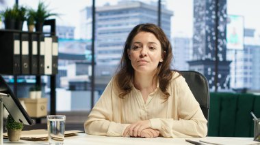 Girişim faaliyetleri için hedeflerini ve hedeflerini paylaşan güçlü iş kadını, potansiyel bir kredi hakkında video konferansında yatırımcılarla görüştü. Hissedarların yürütme gücü. Kamera A.