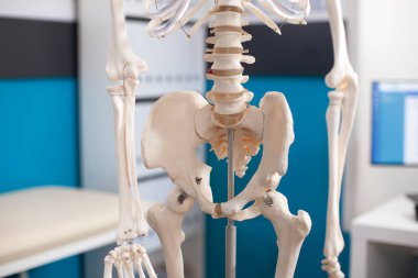Ortopedi muayenesi için yatak, kabine ve masaüstü bilgisayarı olan boş bir doktor ofisine yerleştirilen insan iskeleti ve kollarının kapatılması. Klinikte alt vücuda odaklı iskelet yapısı.