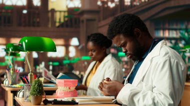 Tıp öğrencisi klasik bir kütüphanede plastik çene modeliyle dişçilik teknikleri uyguluyor. Stomatoloji tezi için fiziksel araştırma yapıyor. Kariyer için profesyonel beceriler geliştiriyorum. Kamera B.