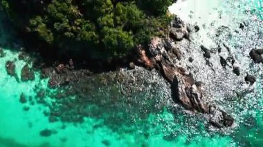 Palmiye ağaçları ve turkuvaz sularıyla tropikal bir cennetin havadan görünüşü, küçük palmiye ağaçları ve kayalık uçurumlarla Tayland kıyılarının güzelliğini yakalıyor. Kristal berrak dalgalar ve egzotik manzara.