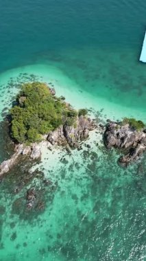 Tayland 'da kumlu bir sahil kıyısındaki ahşap teknelerin üstündeki dikey video görüntüsü, kristal berrak sularda, tropikal ağaçlar ve parlak mavi renkli teknelerin bulunduğu nefes kesici hava manzarası.