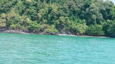 Muhteşem bir çekim. Tay kıyısında yemyeşil bir orman ve palmiye ağaçları yakalıyor. Mavi suların ortasında tropikal egzotik bitkiler. Tayland doğal güzellikle el değmemiş kıyı şeridi.