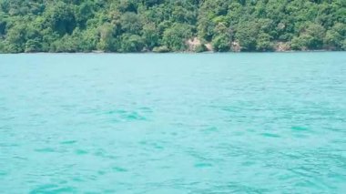 Yoğun yağmur ormanları, palmiye yaprakları, egzotik bitkiler ve mavi sularla dolu egzotik bir manzara Tayland doğal güzelliği ve dinginliği sunuyor..