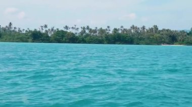 Yoğun tropikal yağmur ormanları ve bitkilerle dolu egzotik doğal cennet. Okyanusun ortasındaki küçük bir adada tropikal yeşillik. Yüksek hindistan cevizi ağaçları huzurlu bir kaçış yaratır..