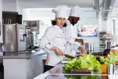 Şef kesim tahtasında sebze doğruyor ve modern bir ticari mutfakta malzemeler hazırlıyor. Lezzetli yemekler pişiren bir kadın ve güzel yemekler, şef hayatı..