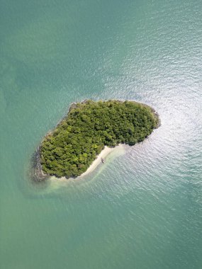 Kıyı şeridinde palmiye ağaçları, tropik yapraklar ve vahşi yeşillik bulunan tropikal canlı panoramik ormanın insansız hava aracı çekimi huzurlu bir geri çekilme sunuyor. Botanik keşfi ve yaz macerası.