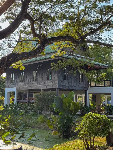 Göl kıyısındaki ahşap binanın yanında nilüfer ağacı var. Koruma merkezi, yumuşak, büyük memeliler için korunaklı bir ulusal çevre sunuyor. Vahşi yaşam ortamı..