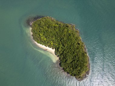 Tropik sahil manzarası ve egzotik palmiye ağaçları ve mavi gökyüzü ile panoramik orman, güneşli bir kıyı şeridinde uzun hindistan cevizi ağaçları barındıran kıyı manzarası. Tayland 'da sakin deniz kıyısı.