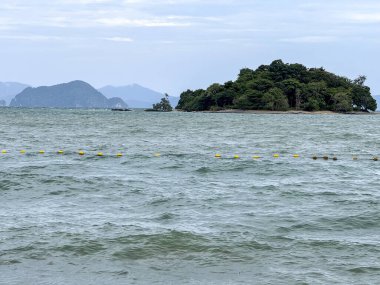 Tayland koyunda yelkenli tekneleri olan tropik küçük bir ada ve sakin bir gölde sürüklenen yelkenlilerin bulunduğu çarpıcı bir seyahat noktası. Palmiye ağaçları, altın plajlar ve turkuaz bir okyanus..