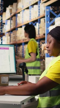Dikey Video Afrikalı Amerikalı kadın işçi bilgisayarda yanlış sevkiyat detaylarını yazıyor, müşteriler için paket izleme yazılımını güncelliyor. Perakende depo tesisinde sipariş yerine getirilmesi
