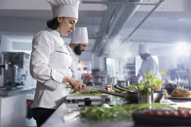 Profesyonel aşçı mutfaktaki otları ve diğer yeşillikleri kesiyor, kesme tahtasındaki malzemeleri doğruyor ve iyi bir yemek yemeği yapmak için dilimlenmiş ürünler kullanıyor. Gıda endüstrisi.