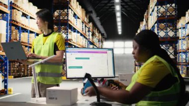 Dağıtım merkezi personeli büyük bir markanın paket teslimatını yönetiyor, siparişler hızlı ve etkili bir şekilde işleniyor ve özenle paketlenmiş ürünlerin hızlı bir şekilde teslim edilmesini sağlıyorlar. Depo deposu. Kamera A.