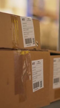 Dikey Afrikalı Amerikalı kadın tarayıcı kullanarak envanterdeki barkod etiketlerini kaydediyor, endüstriyel depodaki lojistik operasyonları çözüyor. İşçi, depolama raflarının yakınındaki nakliye etiketlerini kontrol ediyor