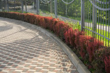 Peyzaj tasarımında renkli taş karolardan yapılmış basamaklı patikalar, desenli ve süslemeli sokak fayansları