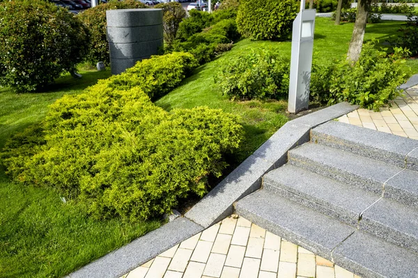 Green Spaces Bushes Plants Landscape Design Path Pedestrians Stone Curbs — Stock Photo, Image