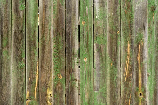 울타리 나무에 페인트 가까이 — 스톡 사진