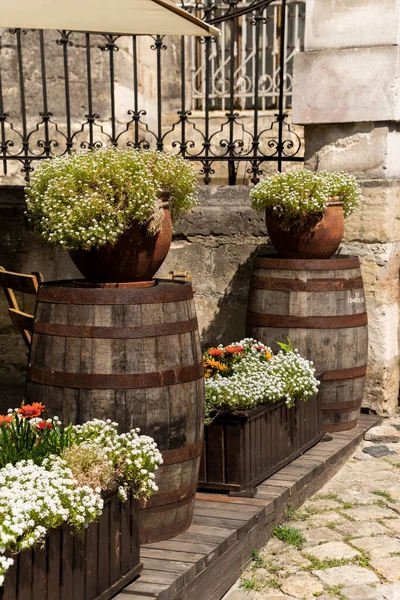 Flowers in pots and tubs in public places, as an element of design and decoration of architecture, shot close-up