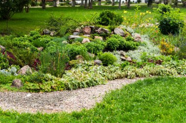 Çiçekler çiçek tarlalarında peyzaj tasarımında, bitkilerle süslenmiş parklarda kare şeklinde.