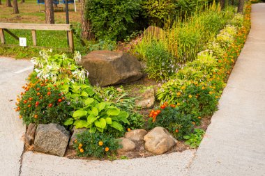 Çiçekler çiçek tarlalarında peyzaj tasarımında, bitkilerle süslenmiş parklarda kare şeklinde.