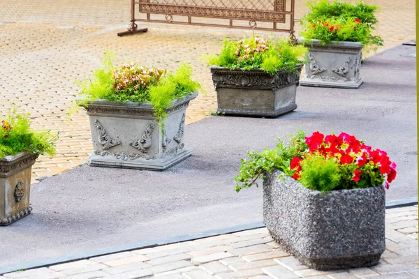石造りの浴槽の通りの花 都市環境の広場と公園の植物と装飾 — ストック写真