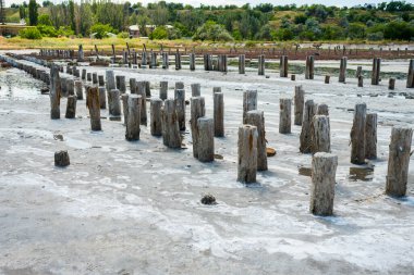 Kurumuş deniz kıyısındaki odunlardan yapılmış ahşap çadır, köprü için eski temeller.