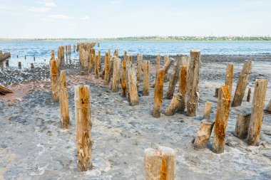 Kurumuş deniz kıyısındaki odunlardan yapılmış ahşap çadır, köprü için eski temeller.