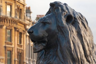 Londra, Uk - 25 Aralık 2022 - Trafalgar Meydanı 'ndaki bronz aslanlardan birinin ayrıntıları