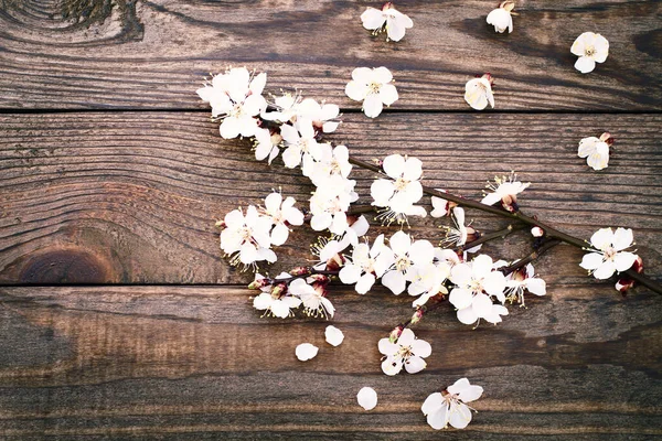 Virágos Fehér Virágok Finom Felületre Nyilatkozat Szeretet Tavasz Esküvői Meghívók — Stock Fotó