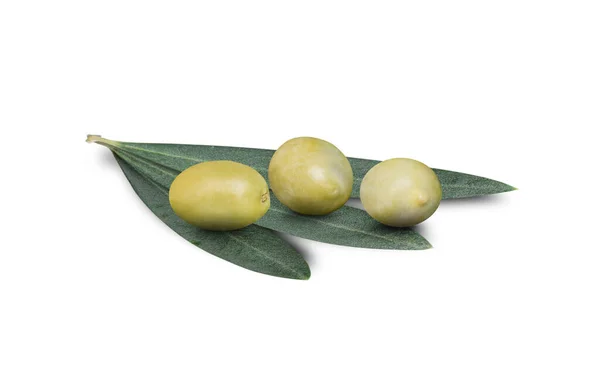Rama Olivo Con Tres Deliciosas Aceitunas Verdes Aisladas Sobre Fondo — Foto de Stock