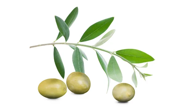 Rama Olivo Con Tres Deliciosas Aceitunas Verdes Aisladas Sobre Fondo —  Fotos de Stock