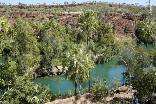 Emerald Waters Lush Vegetation Lawn Hill Gorge Form Beautiful Oasis — Stock Photo, Image