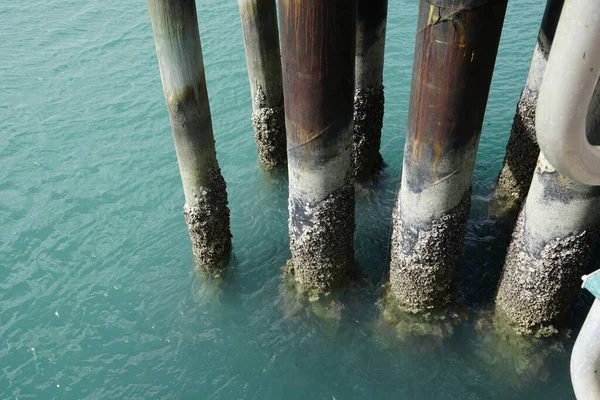 バマガ桟橋の桟橋上の障害物 — ストック写真