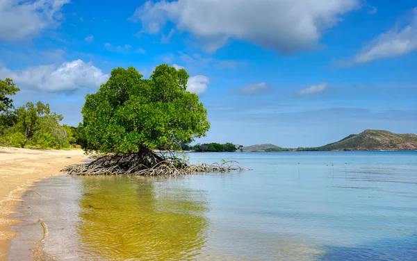 Beautiful Remote Beaches North Queensland Australia Wroonga Point — Stock Photo, Image