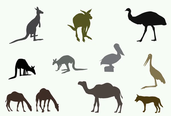 Kangaroo Emu Pelican Camel Dingo Jabiru Done Silhouette — Stock Vector