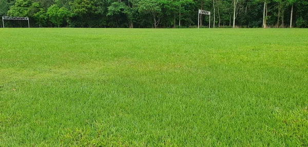 Schönes Grünes Gras Mit Lustgrünem Regenwald Hintergrund Mit Weißem Torpfosten — Stockfoto