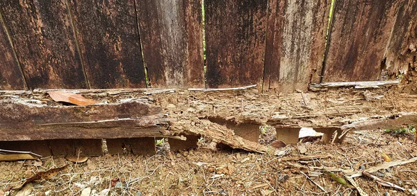 Vieille Clôture Bois Mangée Par Les Termites — Photo
