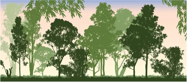 Πολλές Διαφορετικές Αποχρώσεις Του Πράσινου Δάσους Της Αυστραλίας Gum Tress — Διανυσματικό Αρχείο