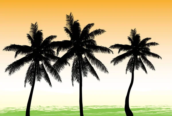 Tre Kokosnötsträd Siluett Svart Med Orange Bakgrund — Stock vektor