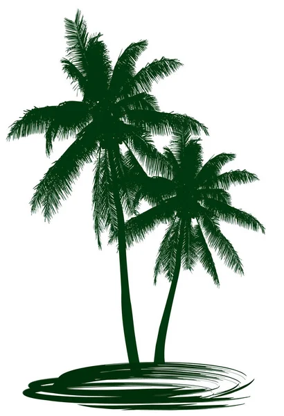 Två Gröna Kokosnötsträd Vit Bakgrund — Stock vektor