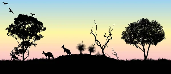 Silhuett Gräs Träd Och Tuggummi Träd Vid Solnedgången Med Kängurur — Stock vektor