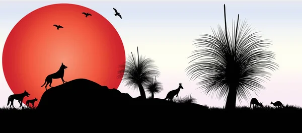 落日的草木或黑色的男孩树的轮廓 有橙色的月亮和澳大利亚的动物 矢量说明 — 图库矢量图片