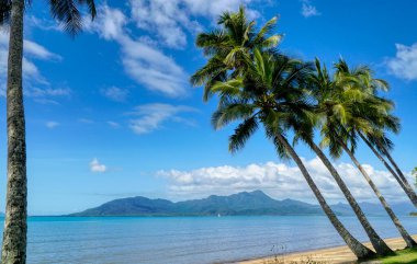 Cardwell, Kuzey Queensland 'da Hinchinbrook Adası' na bakan küçük bir sahil kasabasıdır. Kumsal manzarası ve hindistan cevizi ağaçları