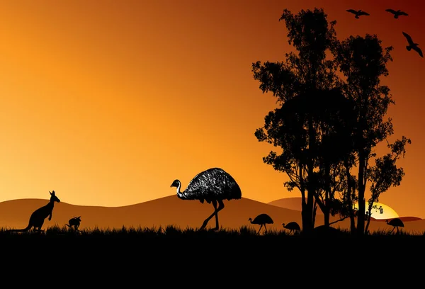 Avustralya Nın Taşrasında Günbatımı Geçmişine Sahip Emus Ailesi Iki Avustralya — Stok Vektör