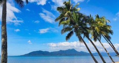 Beautiful Cardwell beach front with coconut palm trees. North Queensland Australia clipart