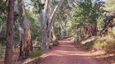 Güney Avustralya, Güney Avustralya 'daki Wilpena Ulusal Parkı manzaralı. Flinders Ulusal Parkı