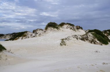 Beyaz kum tepeleri gri gökyüzünün bir zeminine karşı yükseliyor, yeşil bitki örtüleri manzarayı noktalıyor. Sandy Cape Jurien Körfezi Batı Avustralya 