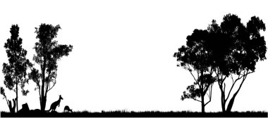 Avustralya sakız ağaçlarının değişik şekillerde siyah siluetleri beyaz arka planda.