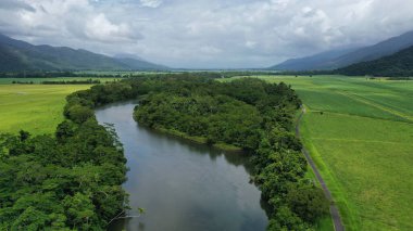 Mulgrave nehri ve Aloomba yakınlarındaki yeşil tarım arazisi, Cairns North Queensland Avustralya